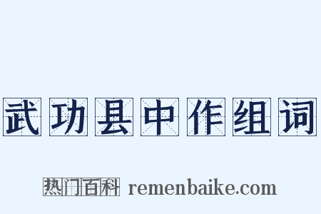 武功县中作组词是什么意思的图片